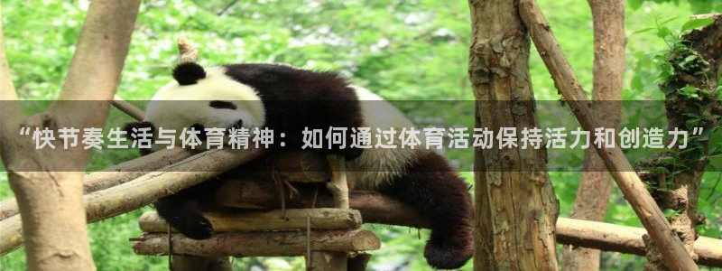 k1体育棋牌网址：“快节奏生活与体育精神：如何通过体育活动保持活力和创造力”