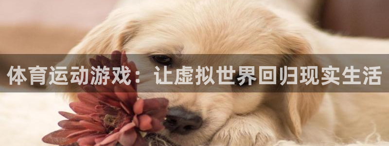 帮k1体育在线登录：体育运动游戏：让虚拟世界回归现实生活