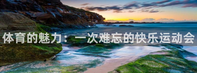 k1体育平台最新网站下载：体育的魅力：一次难忘的快乐运动会