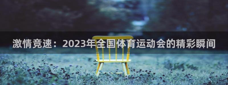 k1体育平台下载：激情竞速：2023年全国体育运动会的精彩瞬间