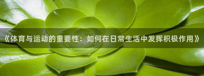 k1体育十年品牌：《体育与运动的重要性：如何在日常生活中发挥积极作用》