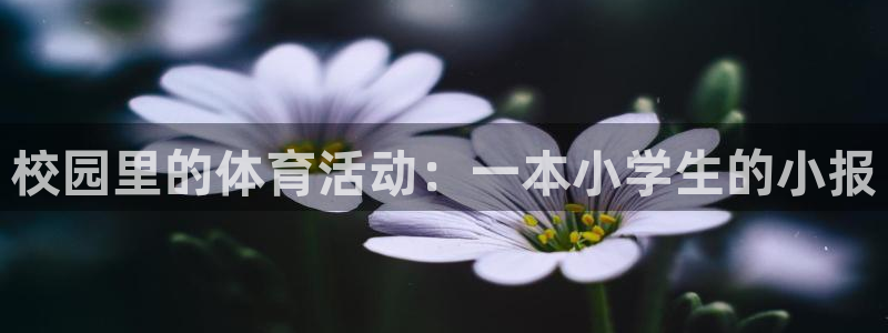 k1体育下载地址：校园里的体育活动：一本小学生的小报