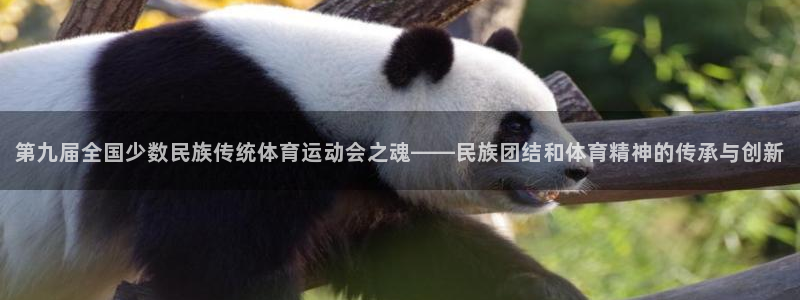 k1体育娱乐：第九届全国少数民族传统体育运动会之魂——民族团结和体育精神的传承与创新